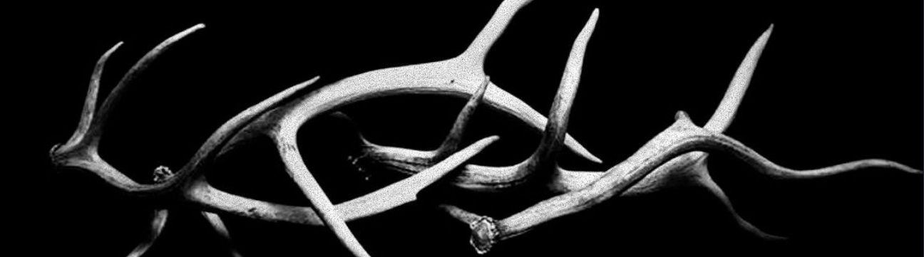 antler banner
